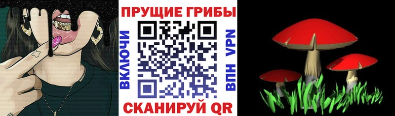 МЕГА   Чадан  Псилоцибиновые грибы MAGIC MUSHROOMS 